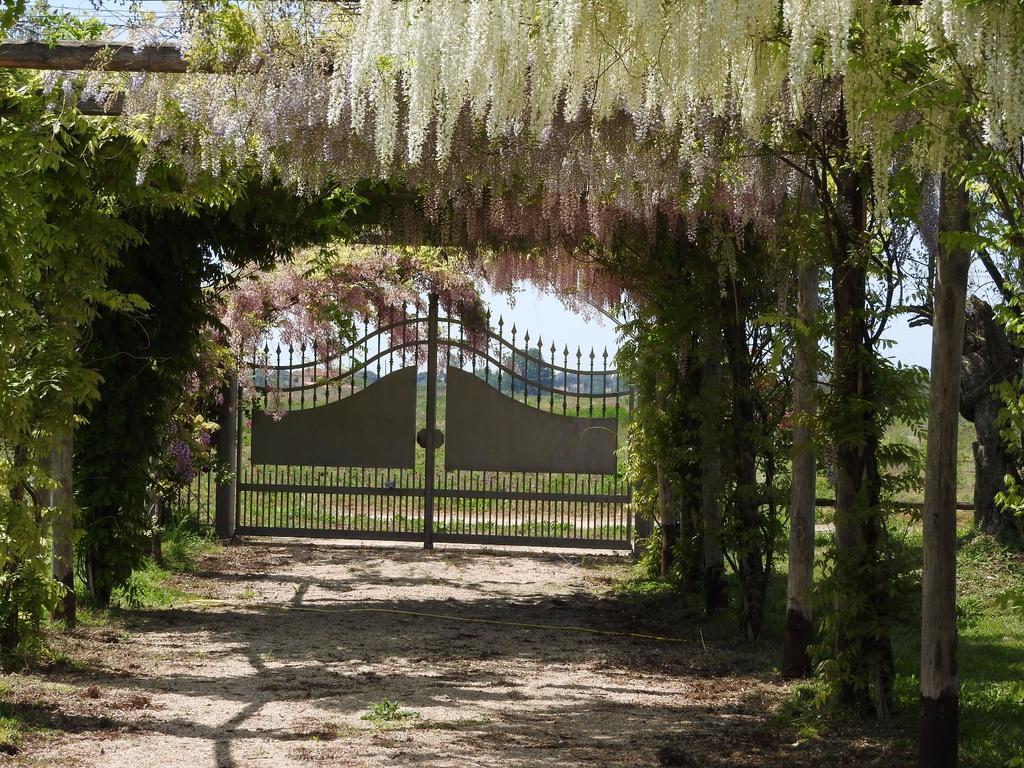 Tenuta Le Pantanelle Villa Sezze Exterior foto
