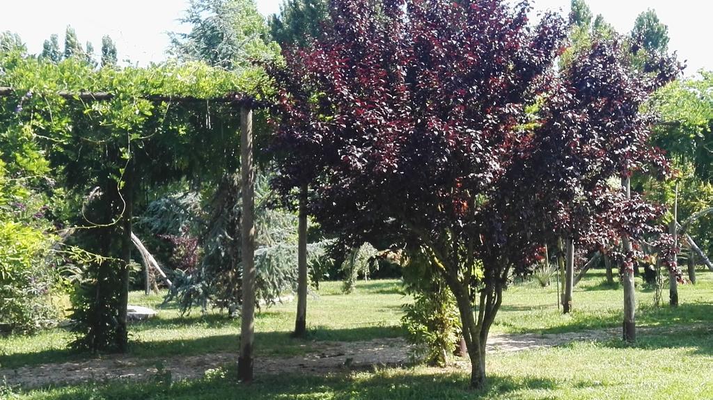 Tenuta Le Pantanelle Villa Sezze Exterior foto