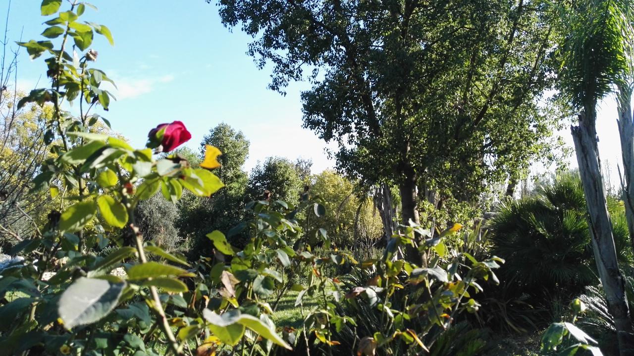 Tenuta Le Pantanelle Villa Sezze Exterior foto